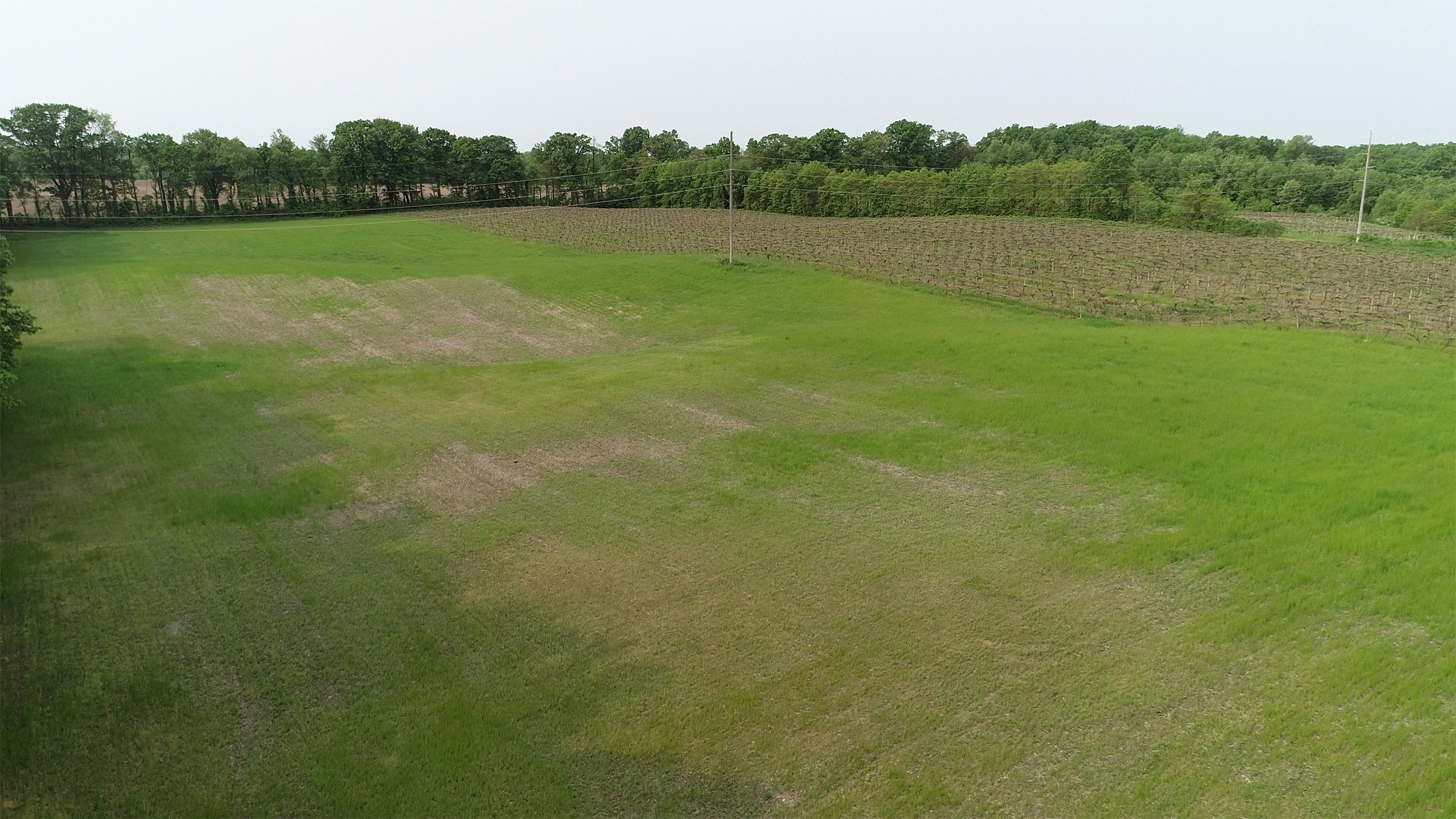 Van Buren County, Michigan farmland - LAND AUCTION - 194+/- ACRES OFFERED IN 5 TRACTS IN VAN BUREN COUNTY, MICHIGAN